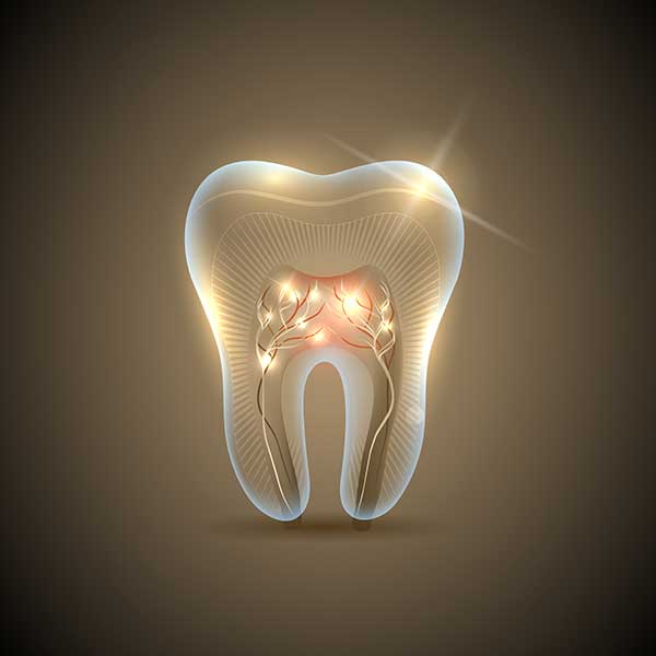 Root Canal Therapy | Montgomery Dental Centre | NW Calgary | Family and General Dentist